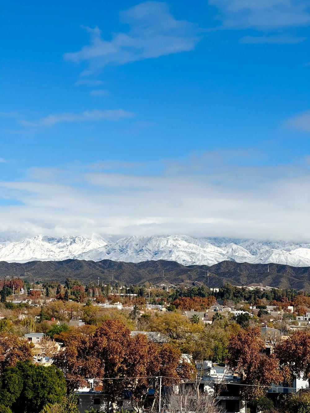 Snow-capped Andes above the autumn trees and rooftops of Mendoza under a blue sky