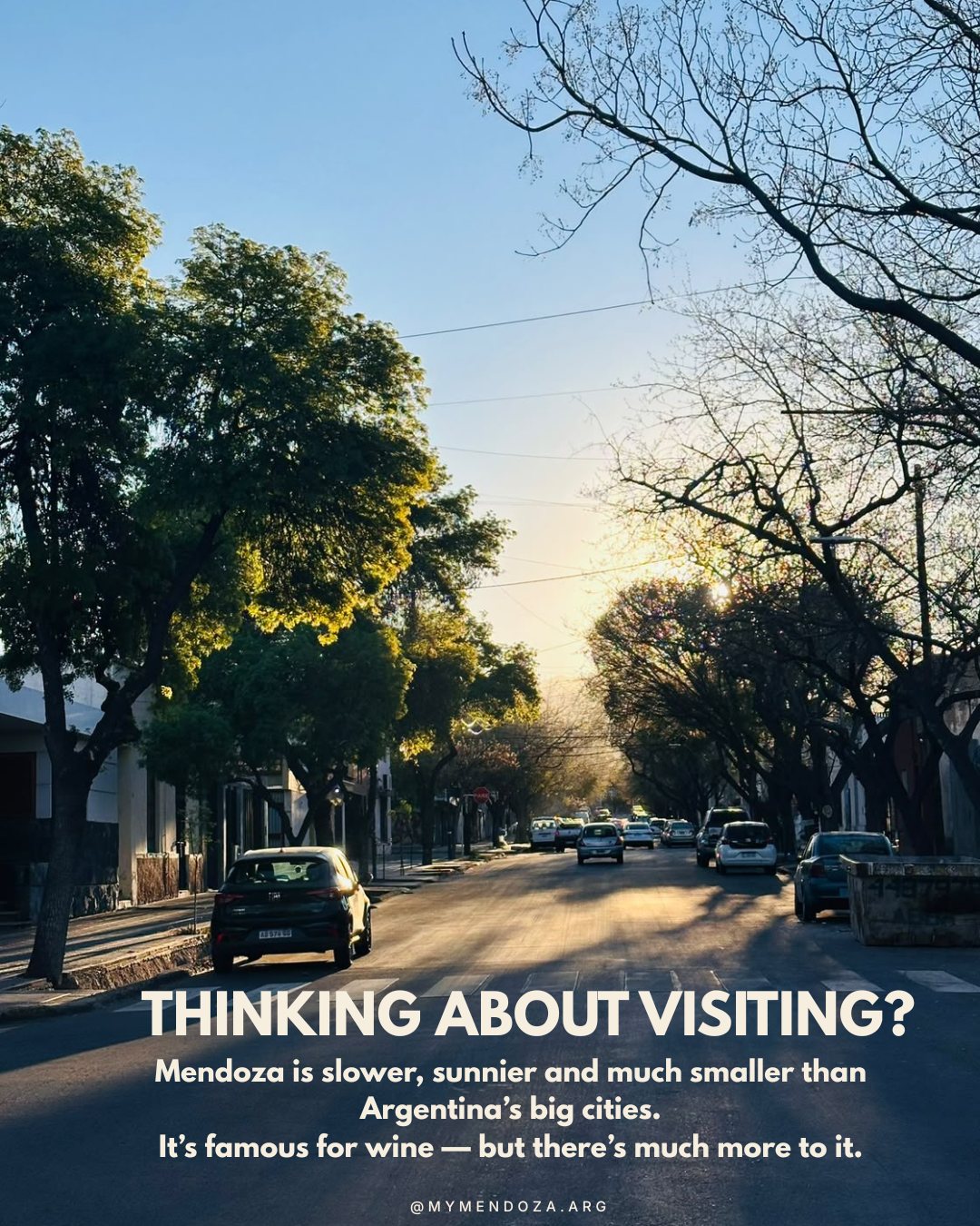 A tree-lined Mendoza street in the evening sun with the text: Thinking about visiting?