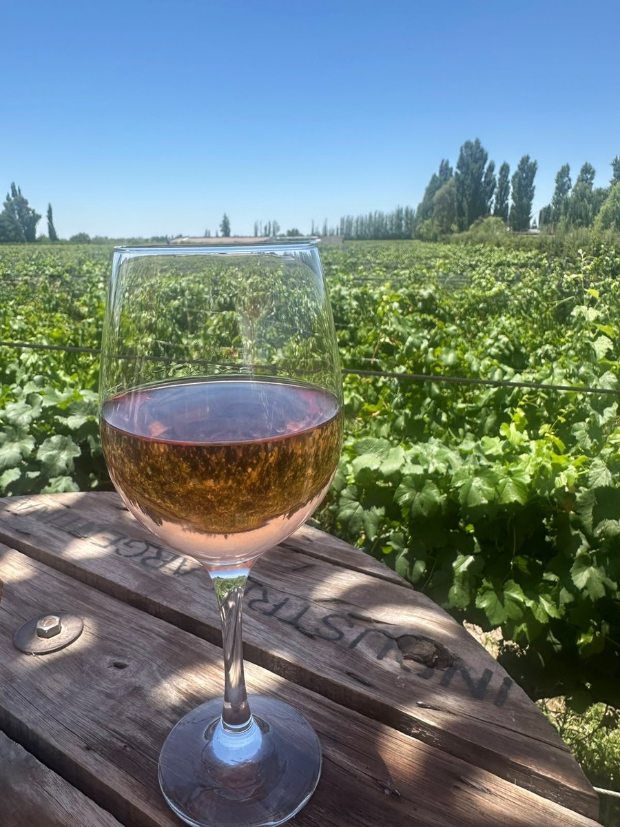 A glass of rosé wine on a wooden table in front of green vineyards under a blue sky